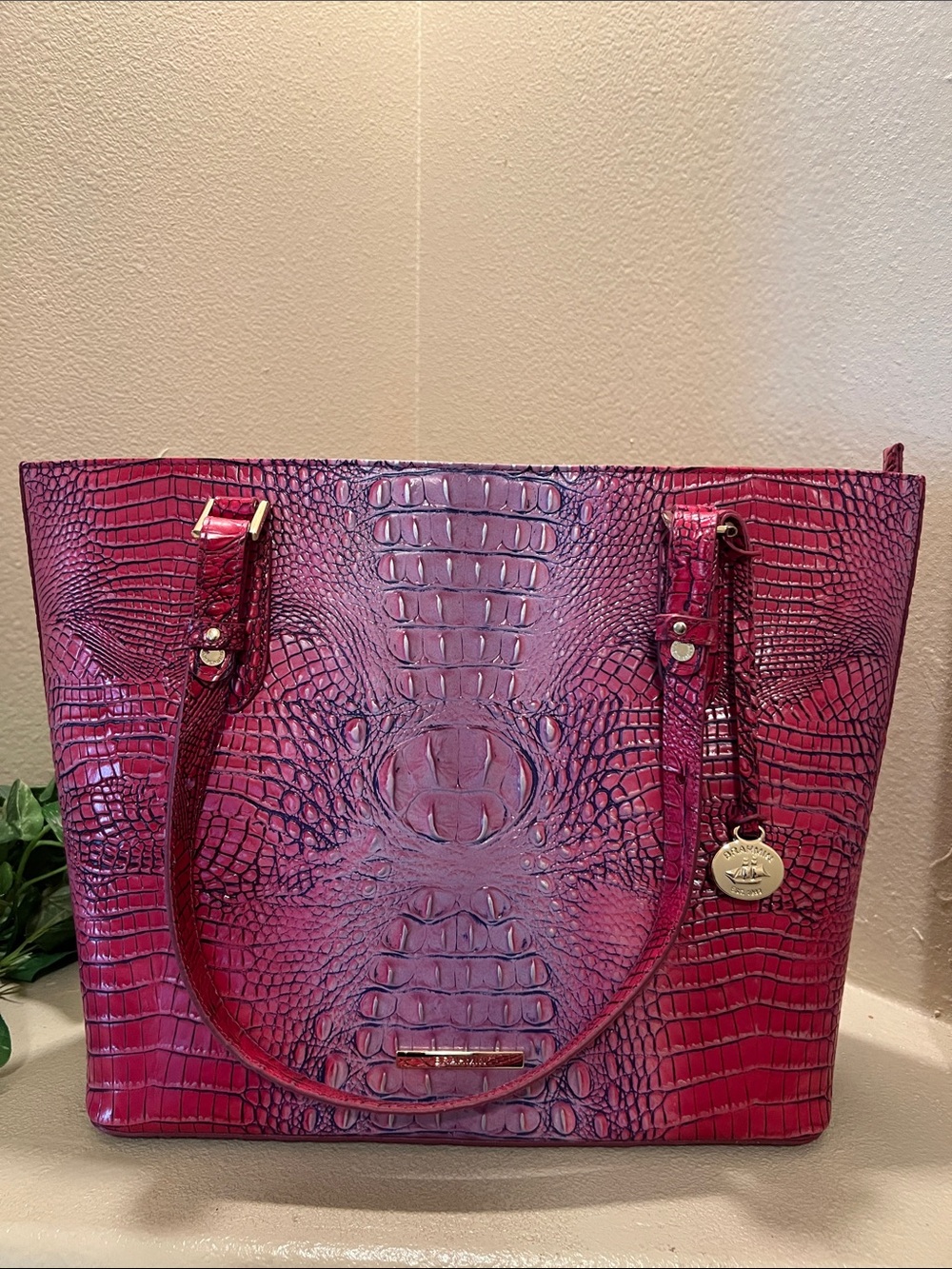 Brahmin Ellen Jazzinova